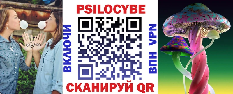 Псилоцибиновые грибы мухоморы  ОМГ ОМГ зеркало  Суздаль  дарнет шоп 